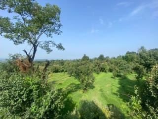 Birdsong Homestay - 2