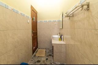 Villa ayu lovina - 1