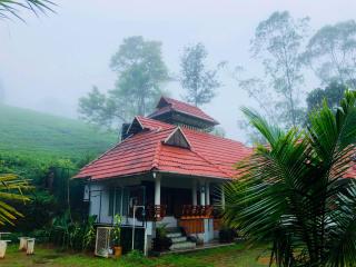 Traditional Villa Munnar - 4