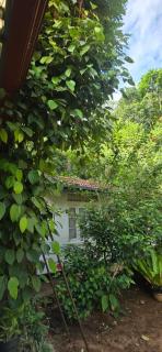 Ceylon Shine - Kandy - 9