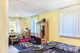 Ferienwohnung Elbtalblick - 2