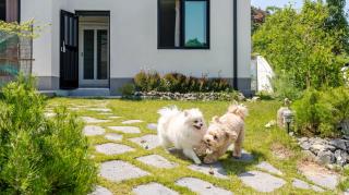 Gyeongju Sunflower Private Cottage - 7
