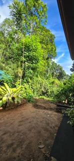Ceylon Shine Jungle Studio Room - 3