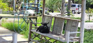 Maderlar Farm Restaurant & Resort - 6