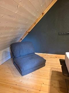 Rąstinė vila prie Ūlos upės Dzūkijoje - 1