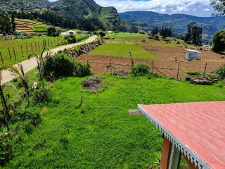 The Earthy Nest by Brown Tree - Ooty - 1