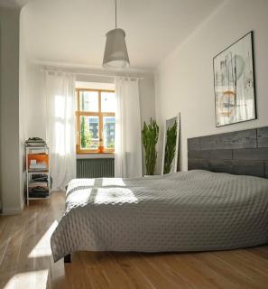 Modern Luxury 3BR Historic Miera Iela - 6