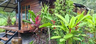 Tee Bungalow in the jungle - 6