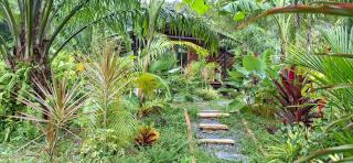 Tee Bungalow in the jungle - 7