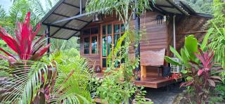 Tee Bungalow in the jungle - 8