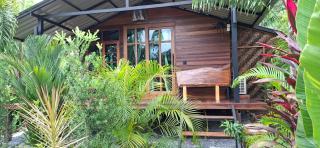 Tee Bungalow in the jungle - 9
