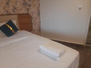 Hotel Tourist Krishna Inn - 5