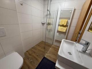 Appartement Vogelnest mit Dachsteinblick & Pool - 2