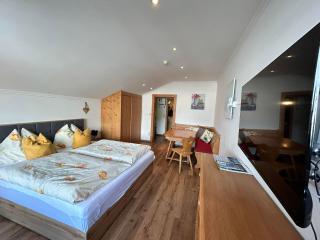 Appartement Vogelnest mit Dachsteinblick & Pool - 1