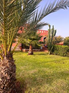 Villa Mossa Turtle's house - 1