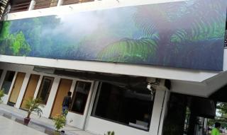 AnkushINN - 3