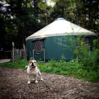Unique Yurts Nestled on the Runaround Pond near Portland, Maine - 5