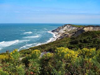 Pet-Friendly Serene Martha’s Vineyard Cottage with Skylights in Edgartown, Massachusetts - 5
