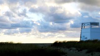 Pet-Friendly Serene Martha’s Vineyard Cottage with Skylights in Edgartown, Massachusetts - 4
