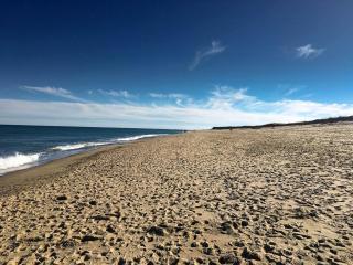 Pet-Friendly Serene Martha’s Vineyard Cottage with Skylights in Edgartown, Massachusetts - 3