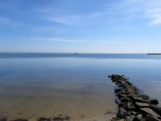 Pet-Friendly Serene Martha’s Vineyard Cottage with Skylights in Edgartown, Massachusetts - 1