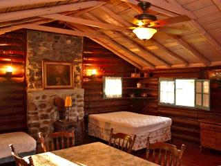 Rustic Cabin Overlooking the Beautiful Seneca Lake in New York - 9