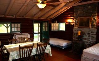 Rustic Cabin Overlooking the Beautiful Seneca Lake in New York - 8