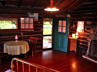 Rustic Cabin Overlooking the Beautiful Seneca Lake in New York - 7