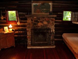 Rustic Cabin Overlooking the Beautiful Seneca Lake in New York - 3