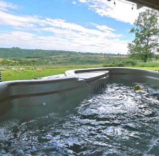 Gorgeous Container for a Romantic Getaway on a Ranch with Incredible Views in Gainesville, Missouri - 6
