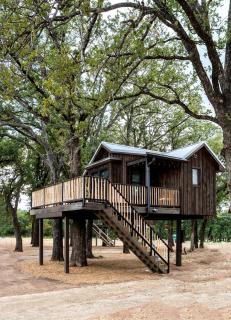 Cozy Treehouse near Magnolia, Texas, for Romantic Glamping Getaways - 4