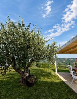 La Casa di Carlo - 2