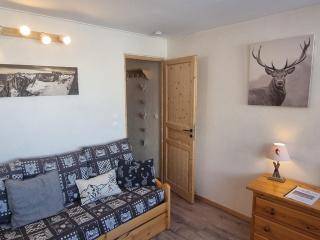 Studio confortable, vue Mont Blanc - 2 pers. (68 unités) - FR-1-181-2577 - 0