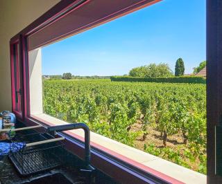 Maison de Vigneron entre Vougeot et Chambertin - 0
