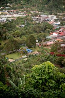 Valmonte Coffee Farm - 7