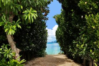 Courtyard by Marriott Okinawa Resort - 7