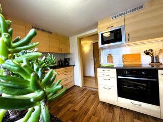 Ferienwohnung "Bergglück" - 60m² direkt am Skihang in Carlsfeld - 8