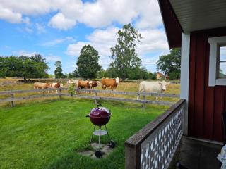 B & B Flattinge Fritidshus - 7