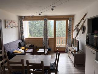 Bel appartement rénové T2 avec balcon au pied des pistes - FR-1-787-10 - 0