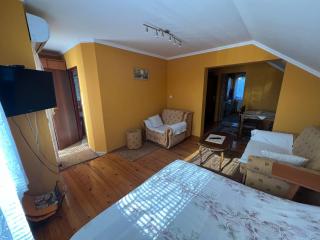 Vila Petrovic- studio apartman - 4