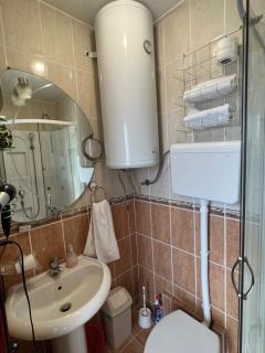 Vila Petrovic- studio apartman - 2