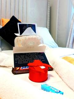 Moses luxe modern studio near JKIA and SGR - 8