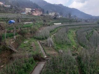 Farm Home Stay in Village - 4