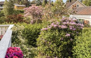 4 Bedroom Awesome Home In Byglandsfjord - 1