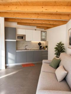 Residence Ca' Gino Svizzer Pool - Apartments - Larihome - 3