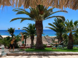 Porto Santo Destination - 0