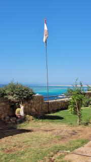 the view - 9