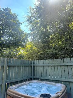 BlueBell 16-Hot Tub-Woodland Lodges-Pembrokeshire - Carmarthen - 3