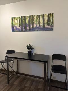 Apartment for 2 Near Expo, City Center - 2