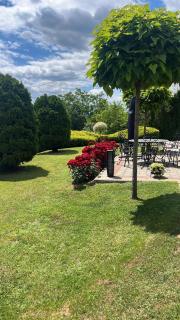 Seosko turističko domaćinstvo Jolović GUČA Veles - 2